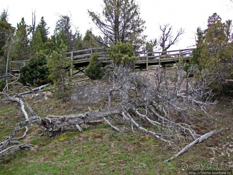 Мамонтовы горячие источники - террасы Клеопатры и Минервы