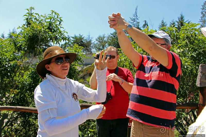 Истинный экватор — 