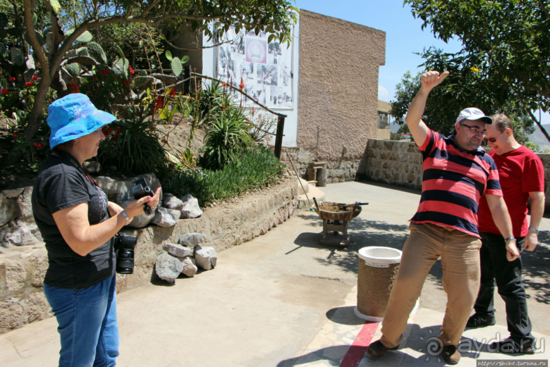 Истинный экватор — 