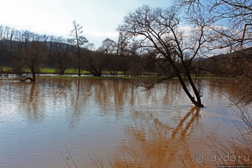 Иполь разливная