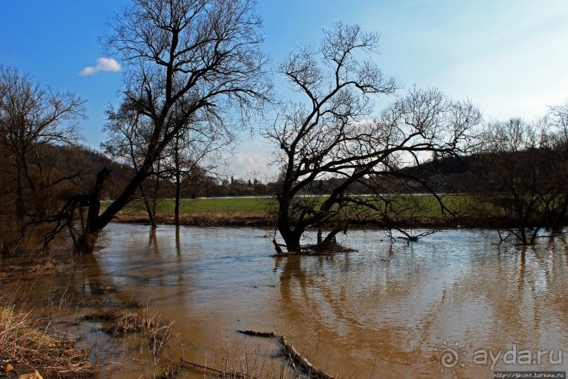 Иполь разливная