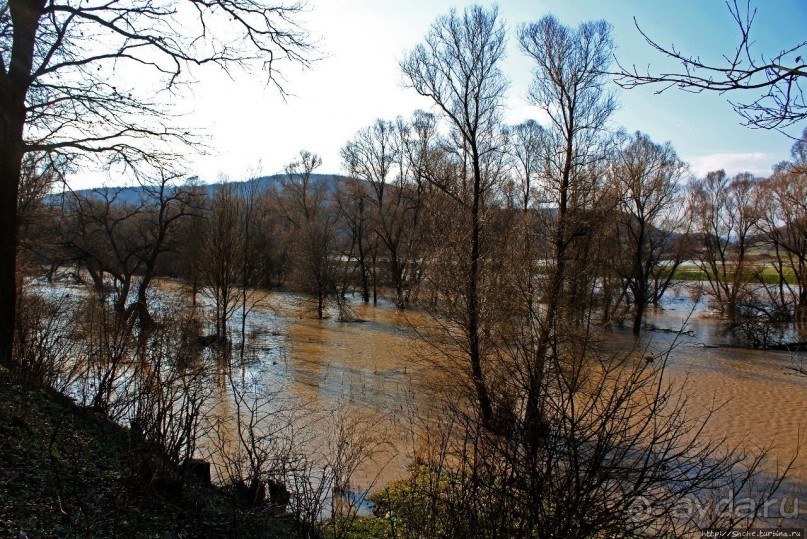 Иполь разливная