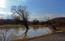 Иполь разливная
