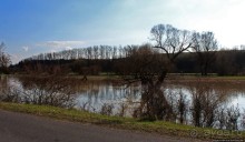 Иполь разливная