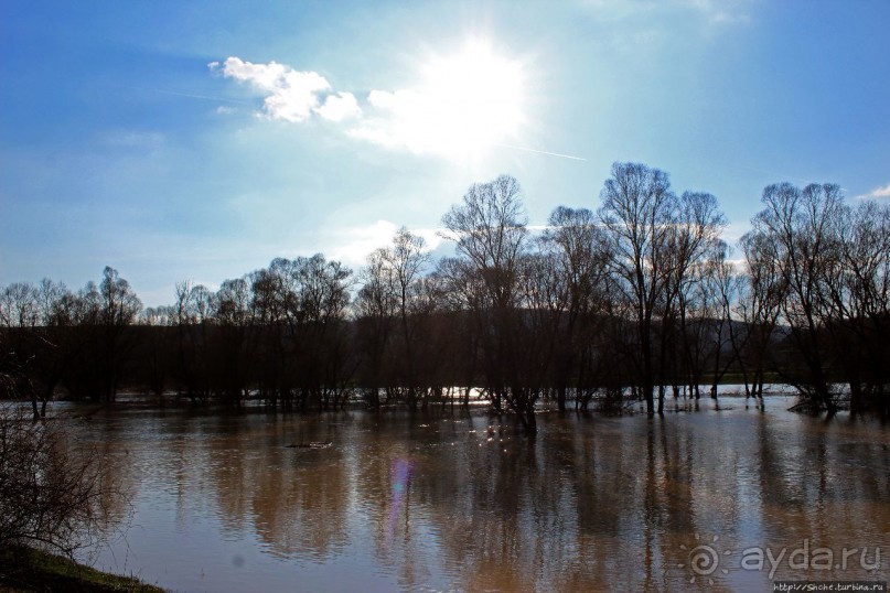 Иполь разливная
