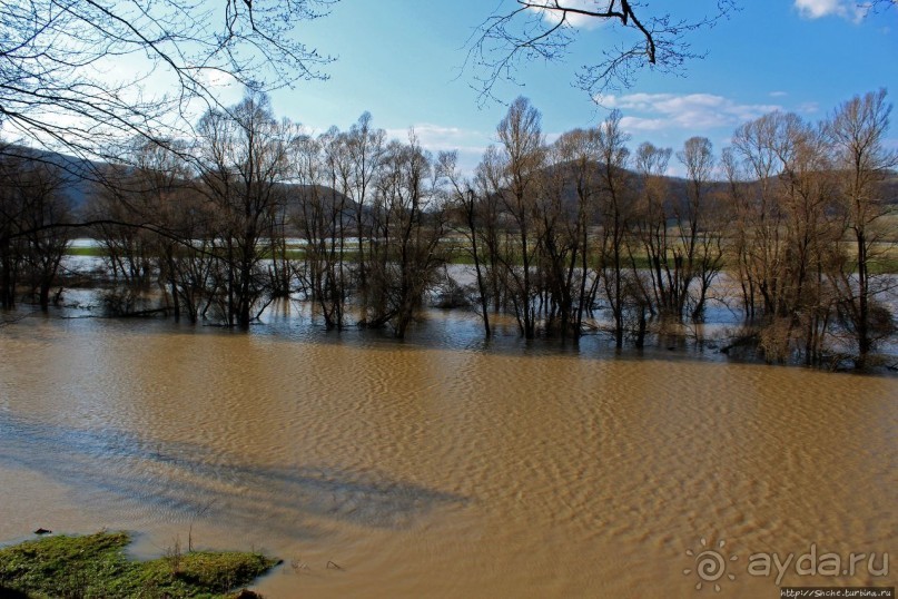 Иполь разливная