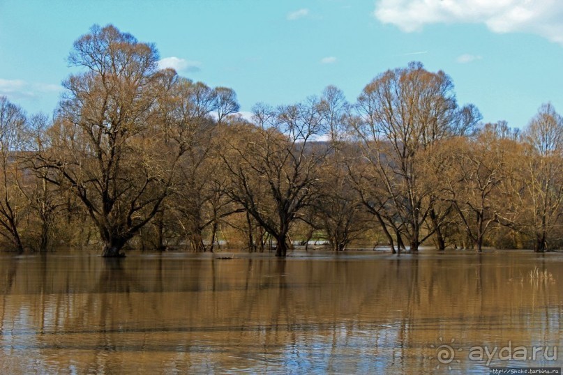 Иполь разливная