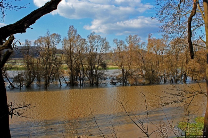 Иполь разливная