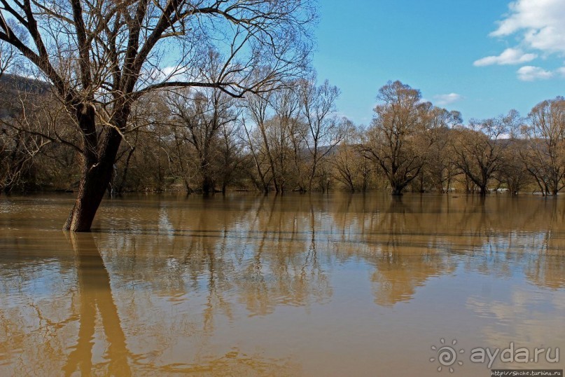 Иполь разливная