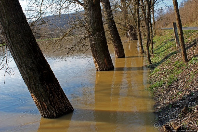 Иполь разливная