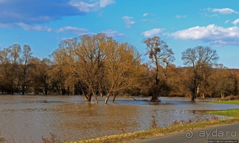 Иполь разливная