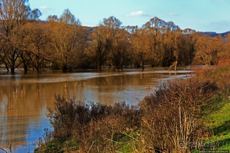 Иполь разливная