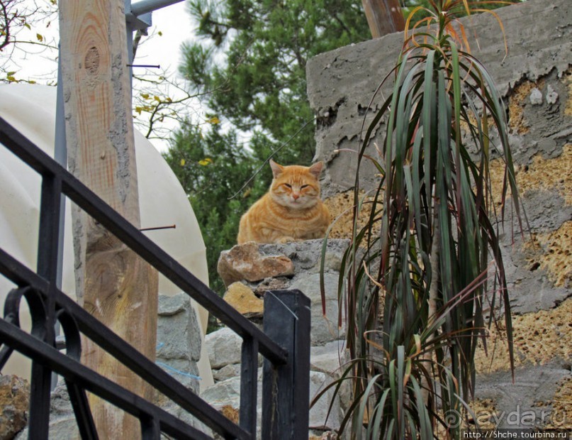 Храм Святого Архистратига Михаила (Ореанда)