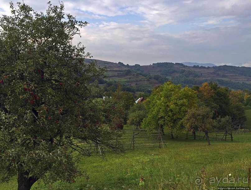 На карпатском перевале