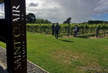 Дегустация лучших новозеландских вин долины Мальборо 