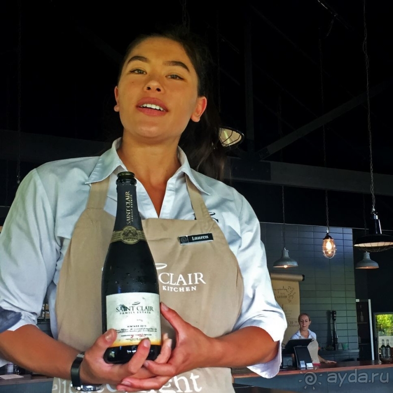 Дегустация лучших новозеландских вин долины Мальборо 