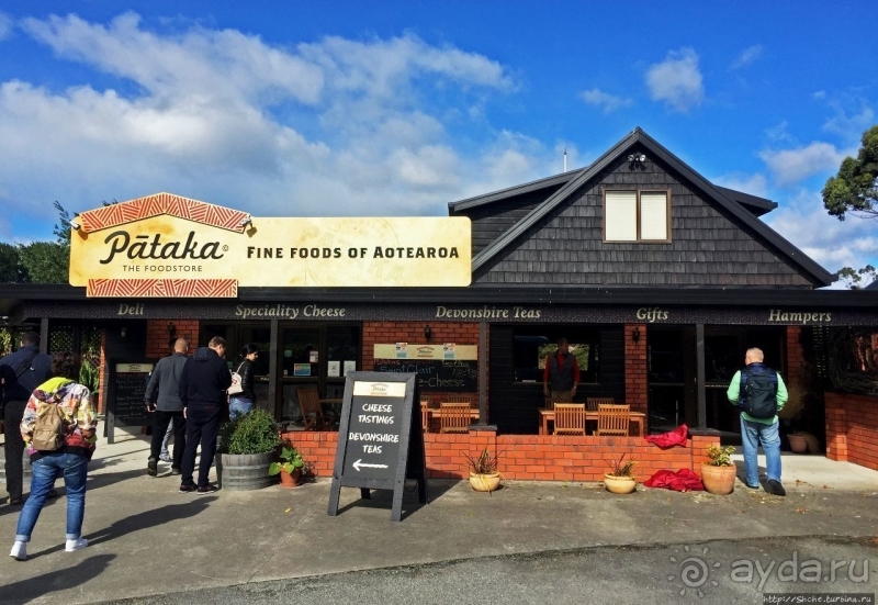 Дегустация лучших новозеландских вин долины Мальборо 