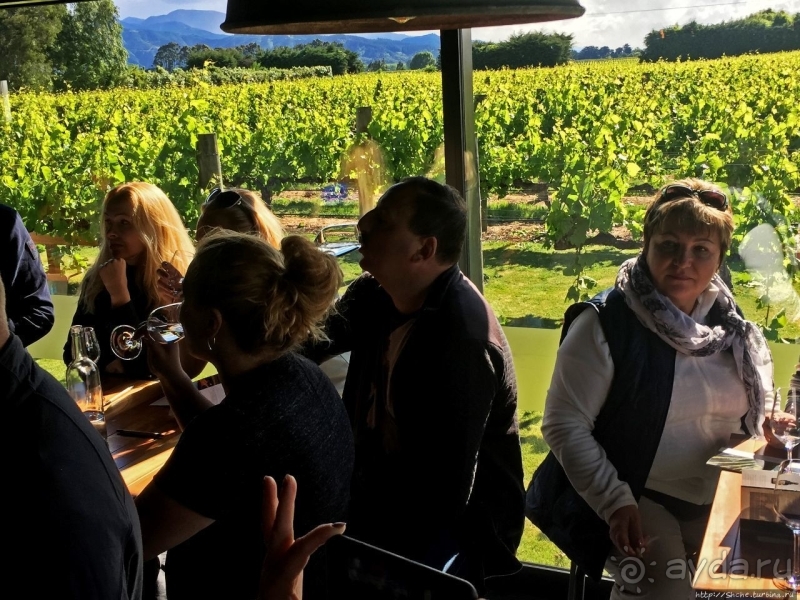 Дегустация лучших новозеландских вин долины Мальборо 