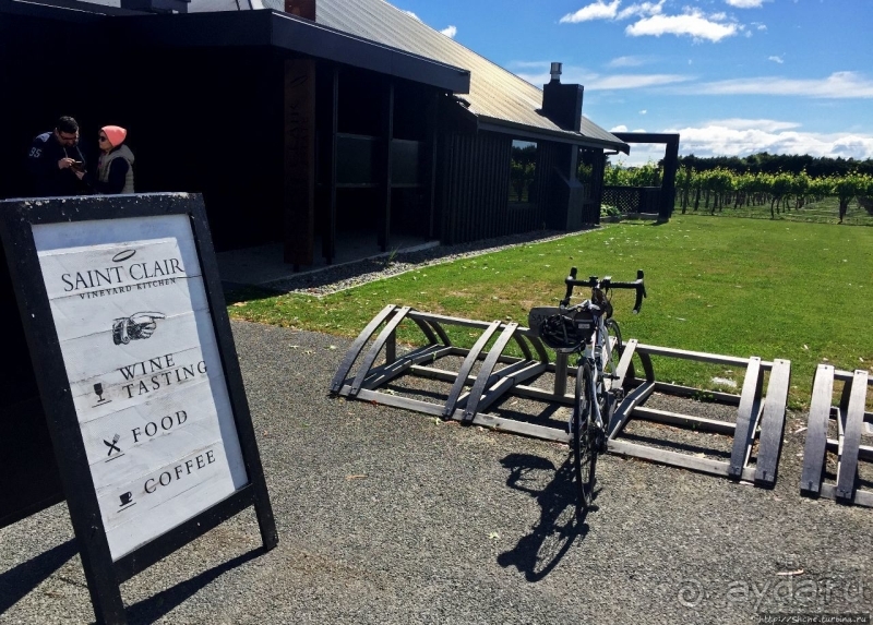 Дегустация лучших новозеландских вин долины Мальборо 