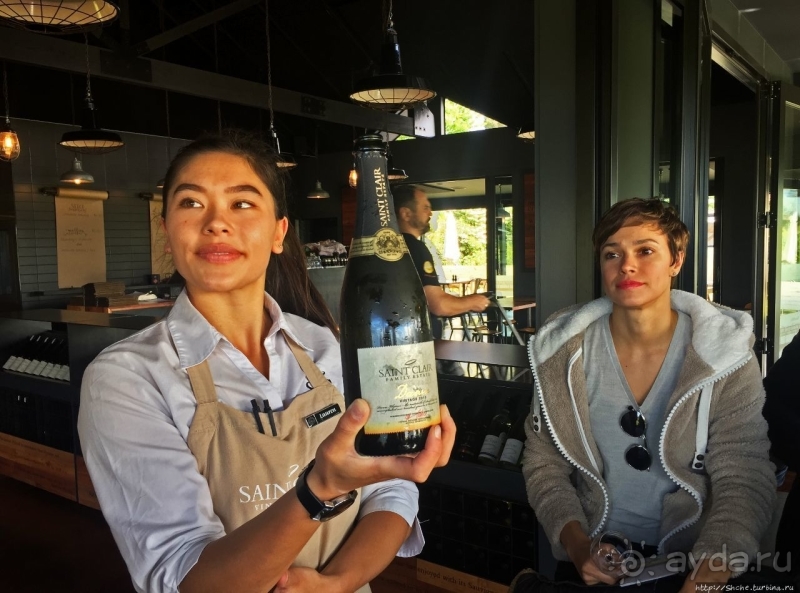 Дегустация лучших новозеландских вин долины Мальборо 