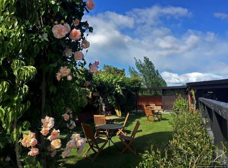 Дегустация лучших новозеландских вин долины Мальборо 