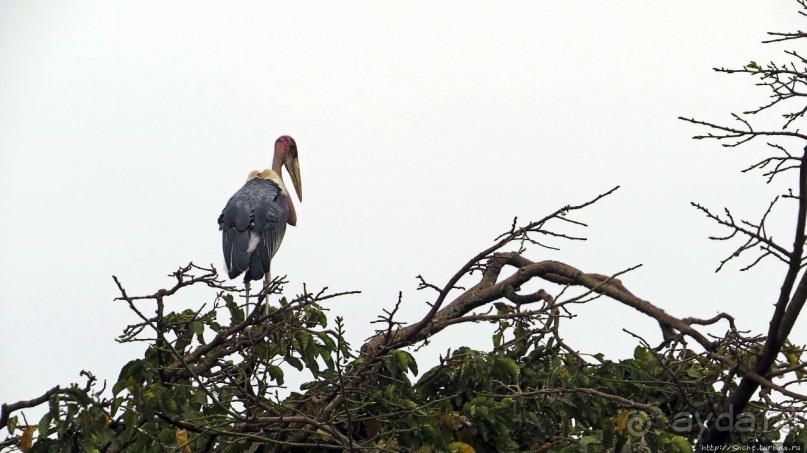 Кампала — столица демократической республики и королевства
