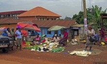 Кампала — столица демократической республики и королевства