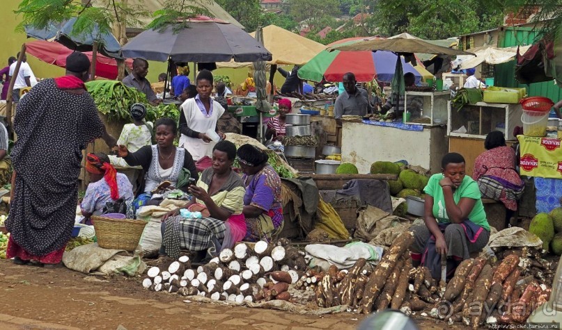 Кампала — столица демократической республики и королевства Кампала — столица демократической республики и королевства