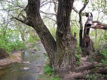 Водный поход по Южному Бугу, день 3. Порог " Мельница"