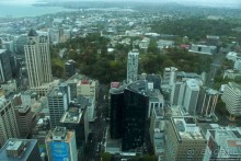 220 метров над Оклендом