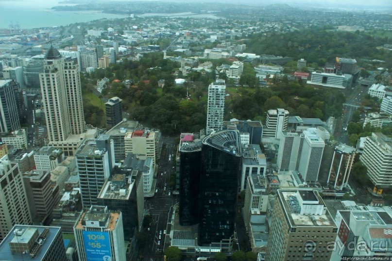 220 метров над Оклендом