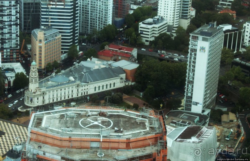 220 метров над Оклендом