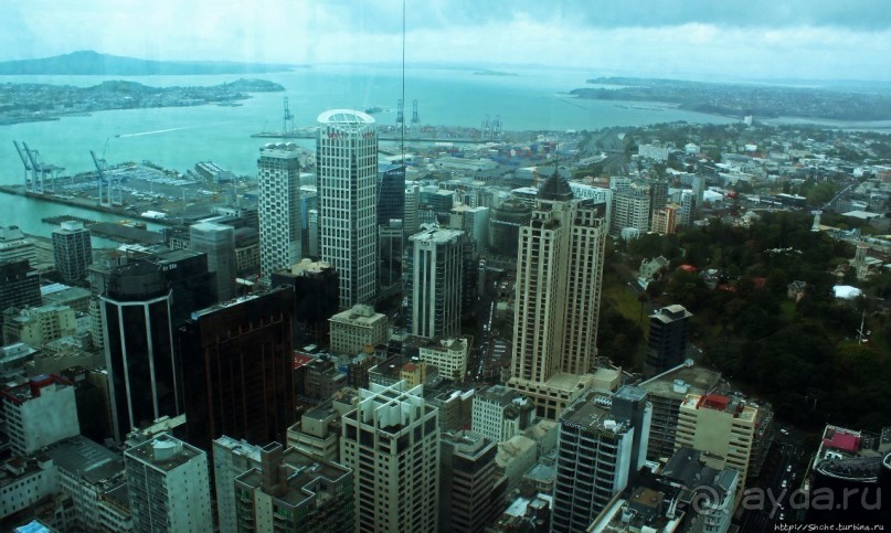 220 метров над Оклендом