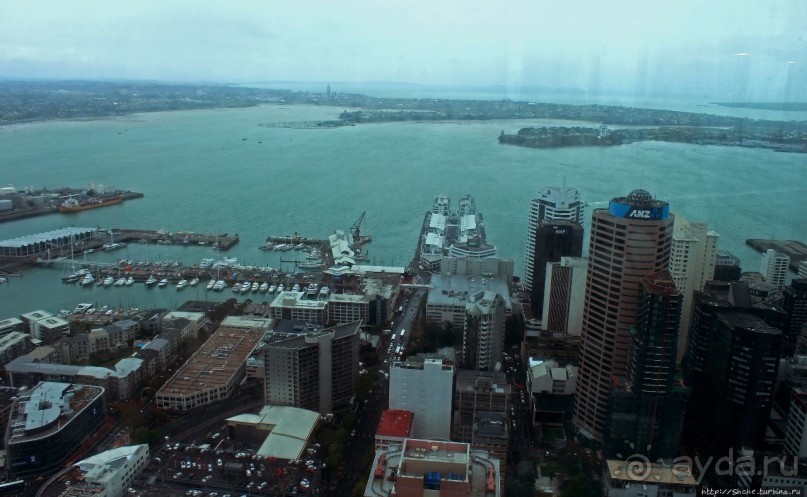 220 метров над Оклендом