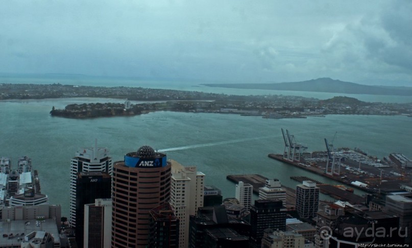 220 метров над Оклендом