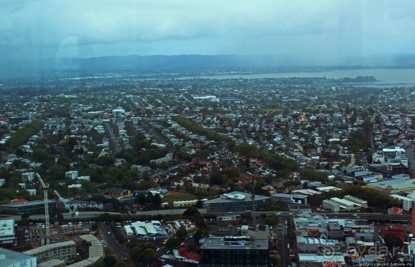 220 метров над Оклендом
