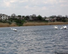 Южный Буг, водный поход, день 2. Дамба и мосты Первомайска.