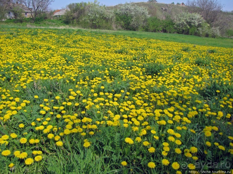 Южный Буг, водный поход, день 2. Дамба и мосты Первомайска.