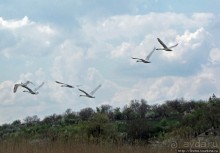 Южный Буг, водный поход, день 2. Дамба и мосты Первомайска.