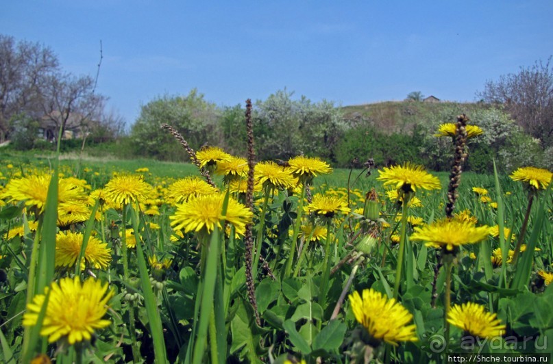 Южный Буг, водный поход, день 2. Дамба и мосты Первомайска. Южный Буг, водный поход, день 2. Дамба и мосты Первомайска.