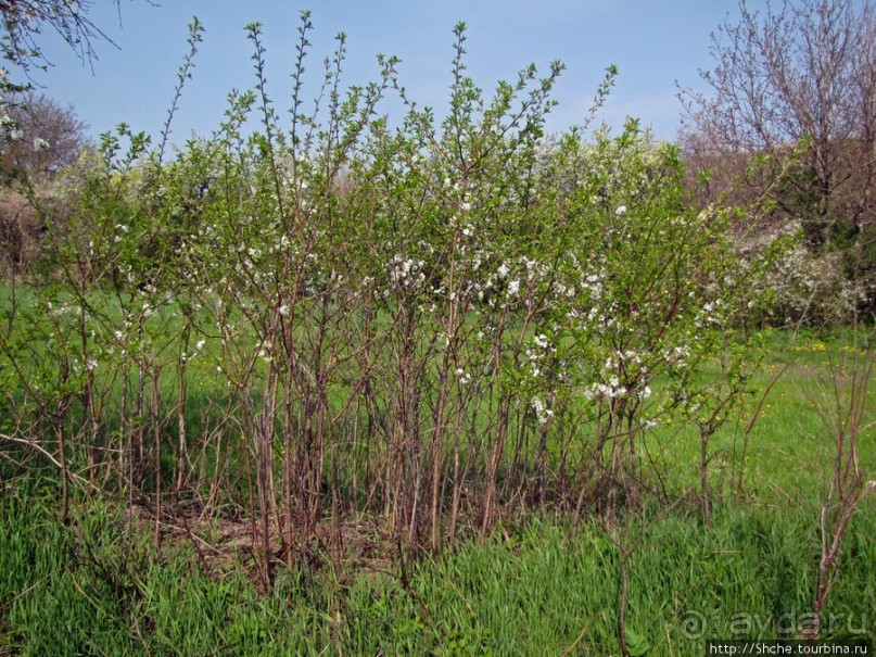 Южный Буг, водный поход, день 2. Дамба и мосты Первомайска. Южный Буг, водный поход, день 2. Дамба и мосты Первомайска.
