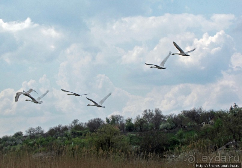 Южный Буг, водный поход, день 2. Дамба и мосты Первомайска.