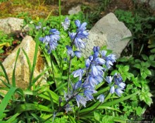 Весна в Лиссабонском округе — ярко и свежо