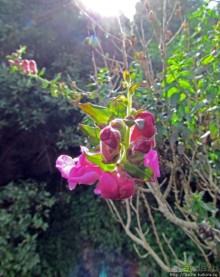 Весна в Лиссабонском округе — ярко и свежо