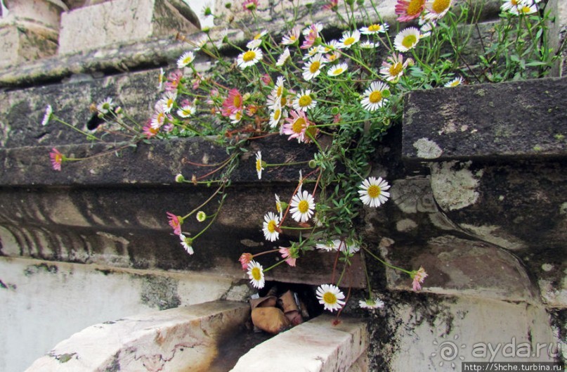 Весна в Лиссабонском округе — ярко и свежо