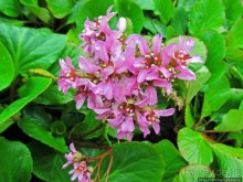 Весна в Лиссабонском округе — ярко и свежо