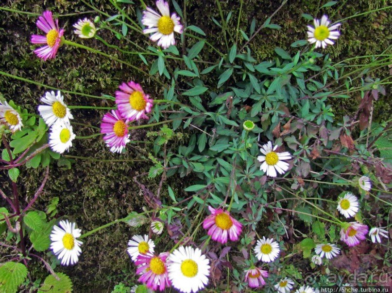 Весна в Лиссабонском округе — ярко и свежо