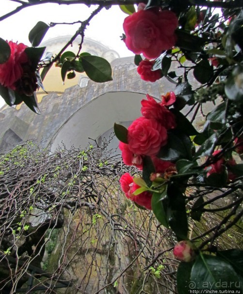 Весна в Лиссабонском округе — ярко и свежо