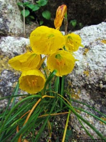 Весна в Лиссабонском округе — ярко и свежо