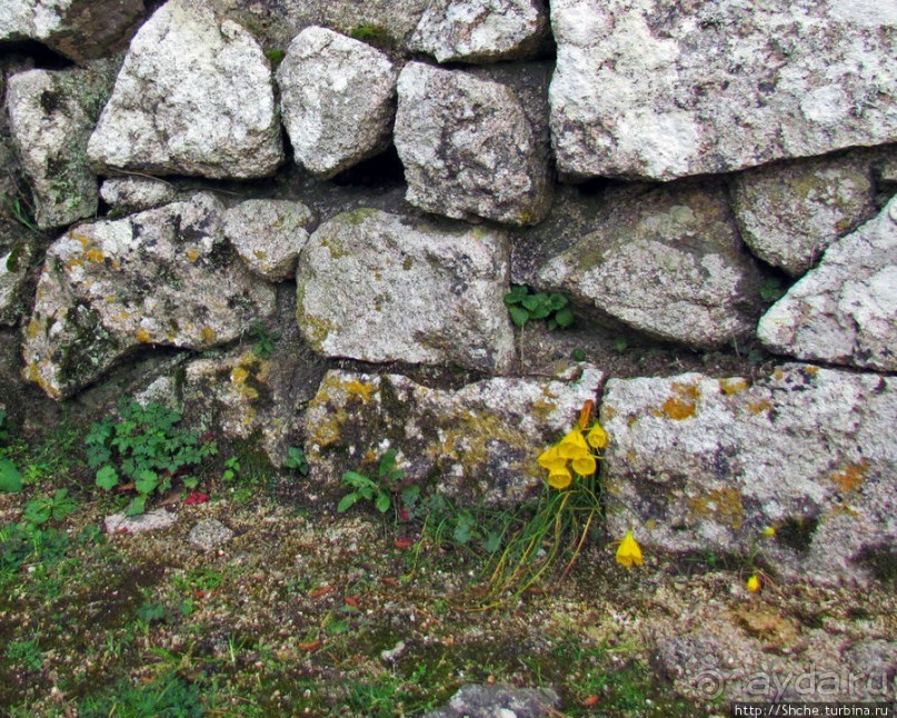 Весна в Лиссабонском округе — ярко и свежо